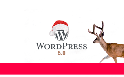 WordPress 5.0 – Neue Version zum Nikolaus