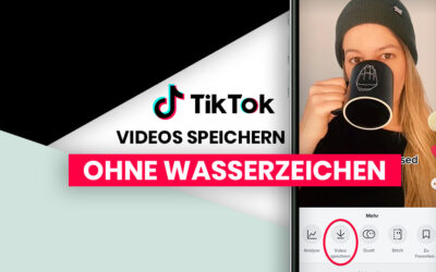 TikTok Video Download ohne Wasserzeichen